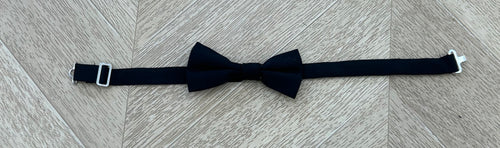 papillon nero junior