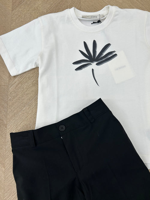 t-shirt palma