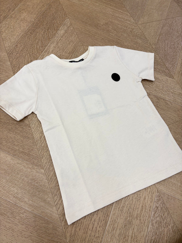 t shirt ice