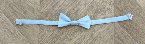 papillon celeste junior
