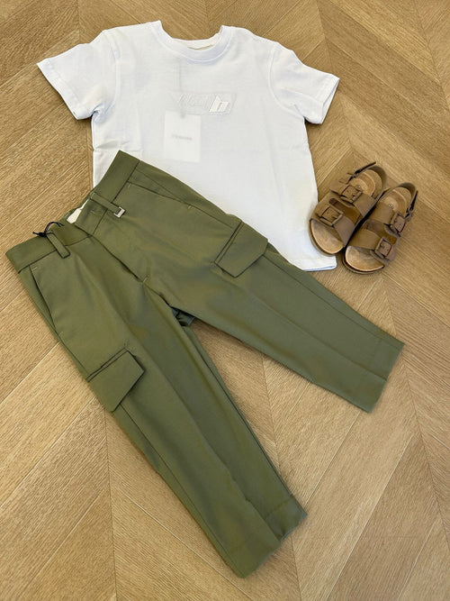 cargo verde imb
