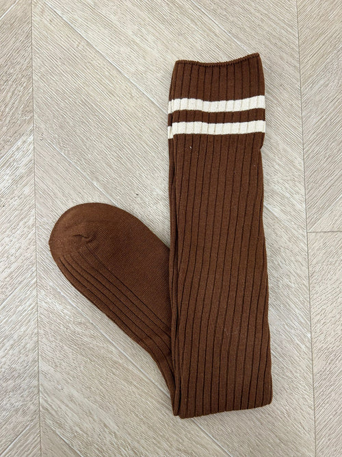parigina camel