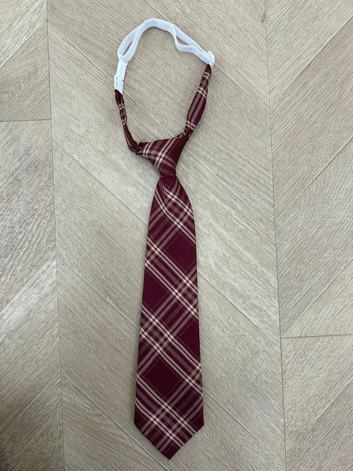 cravatta bordeaux