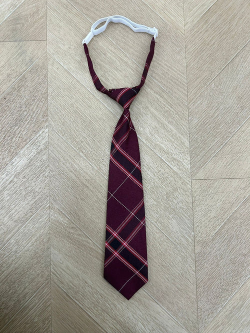 cravatta bordeaux e rossa