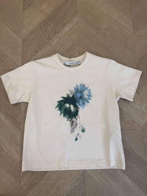 t-shirt color