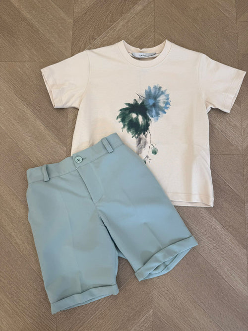 t-shirt color